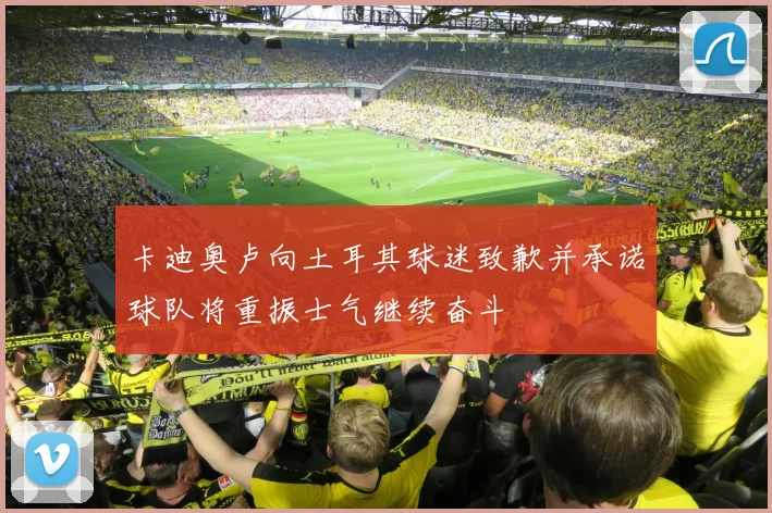 卡迪奥卢向土耳其球迷致歉并承诺球队将重振士气继续奋斗