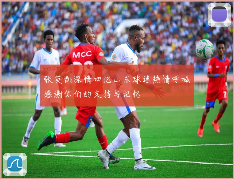 张英凯深情回忆山东球迷热情呼喊感谢你们的支持与记忆
